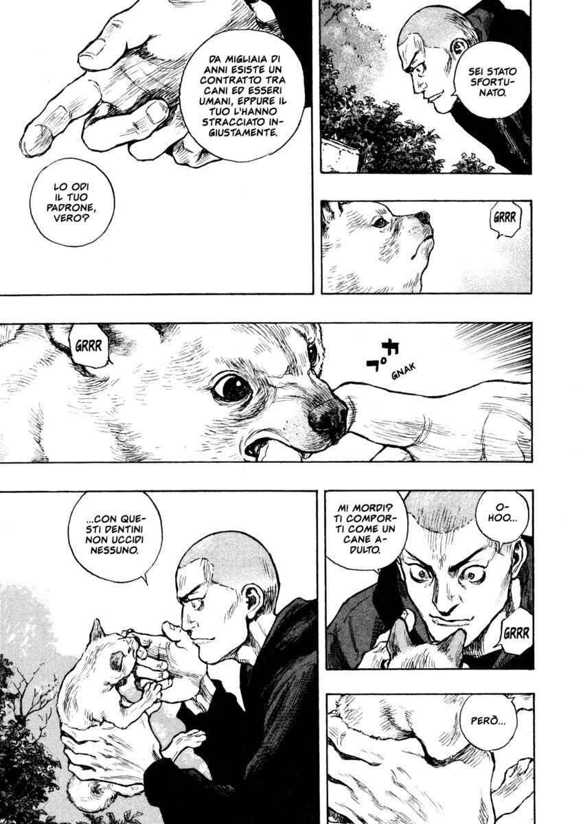 Read Shamo Manga Online