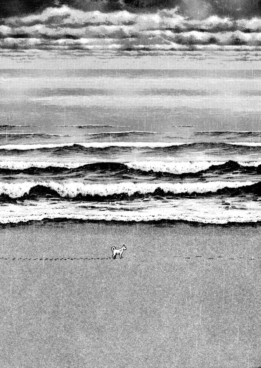 Read Shamo Manga Online