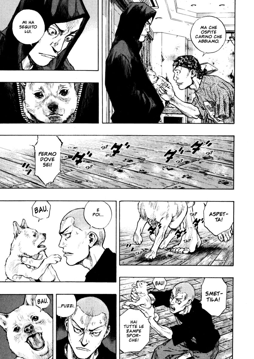 Read Shamo Manga Online