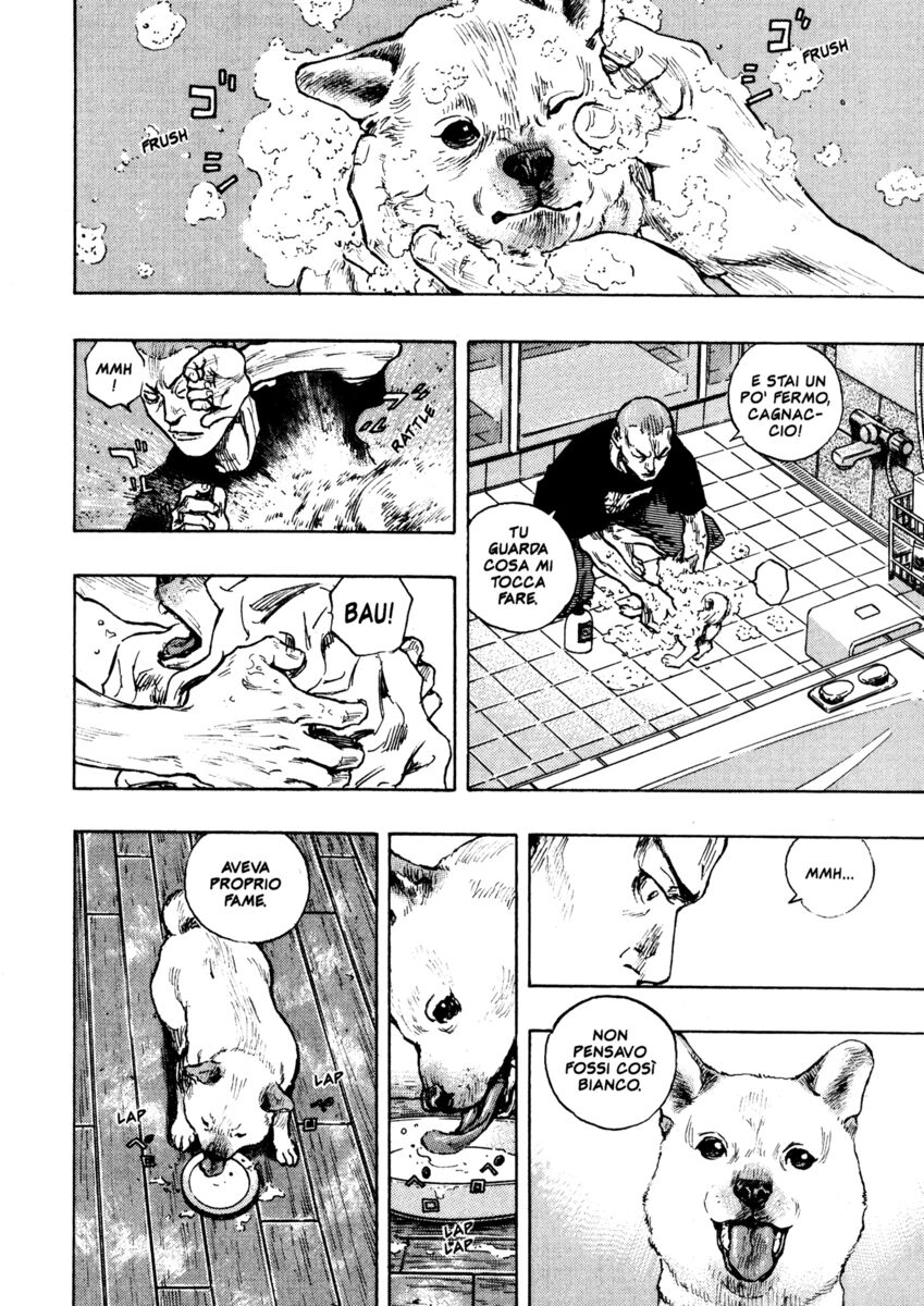 Read Shamo Manga Online