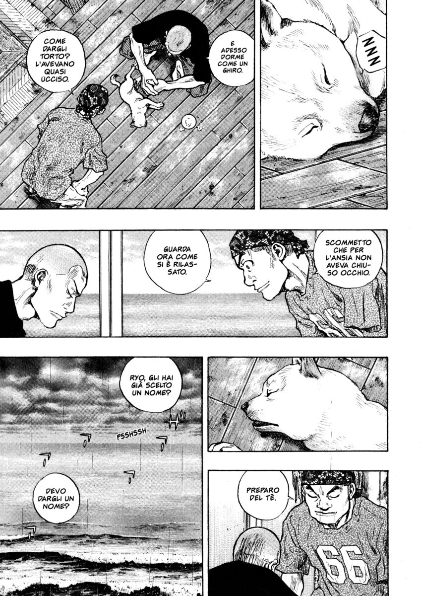 Read Shamo Manga Online