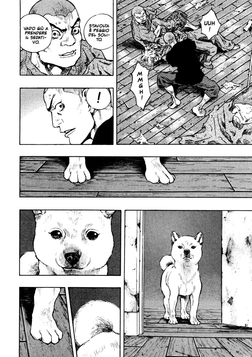 Read Shamo Manga Online