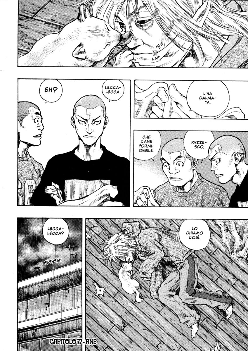 Read Shamo Manga Online