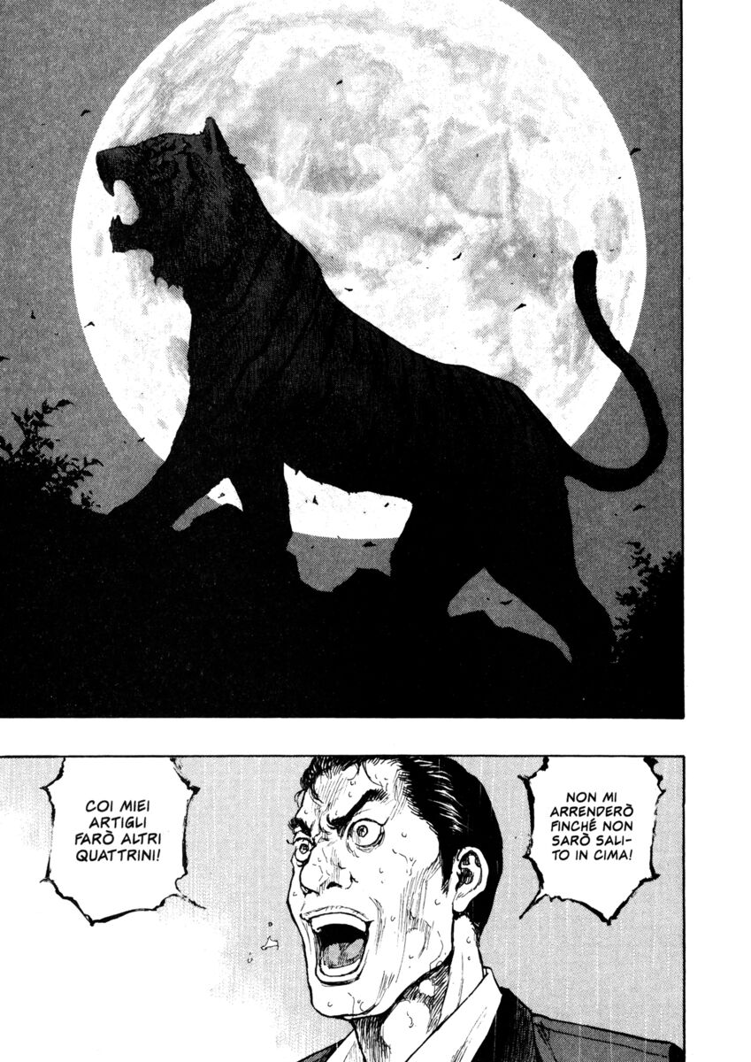 Read Shamo Manga Online