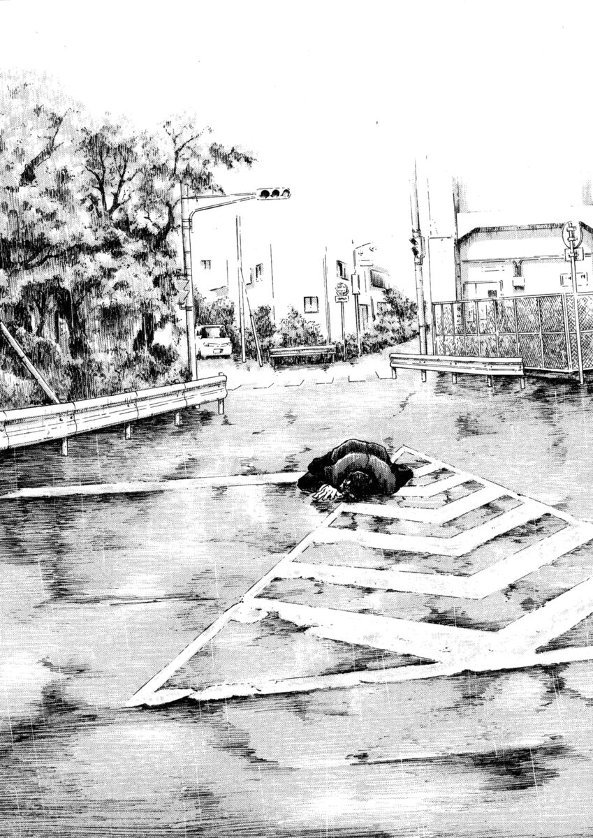 Read Shamo Manga Online