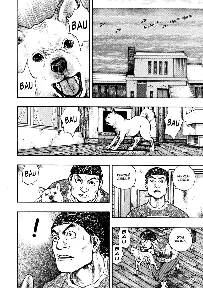 Read Shamo Manga Online