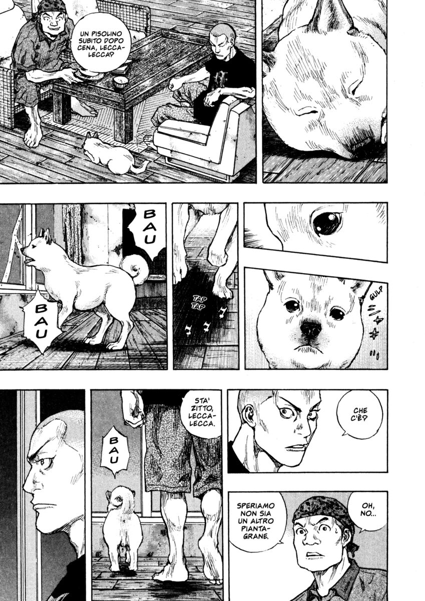 Read Shamo Manga Online