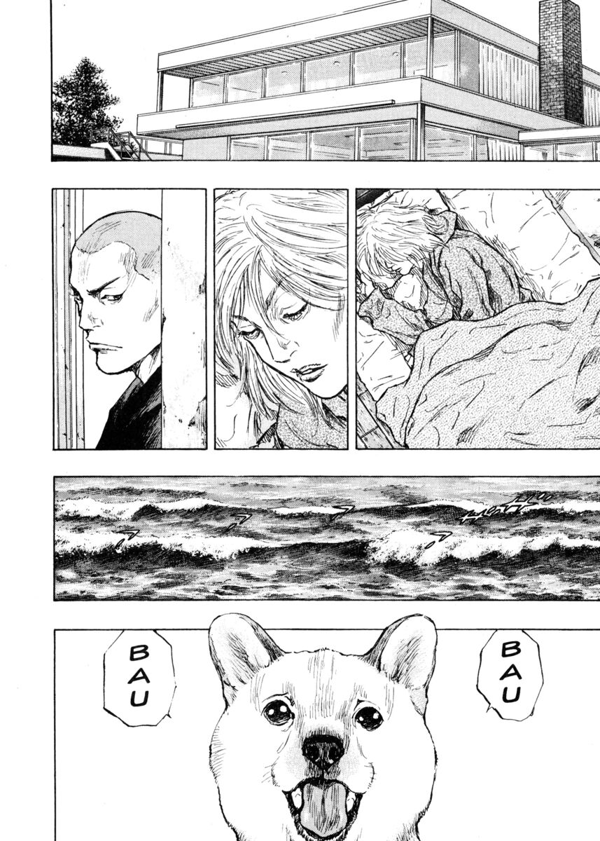 Read Shamo Manga Online