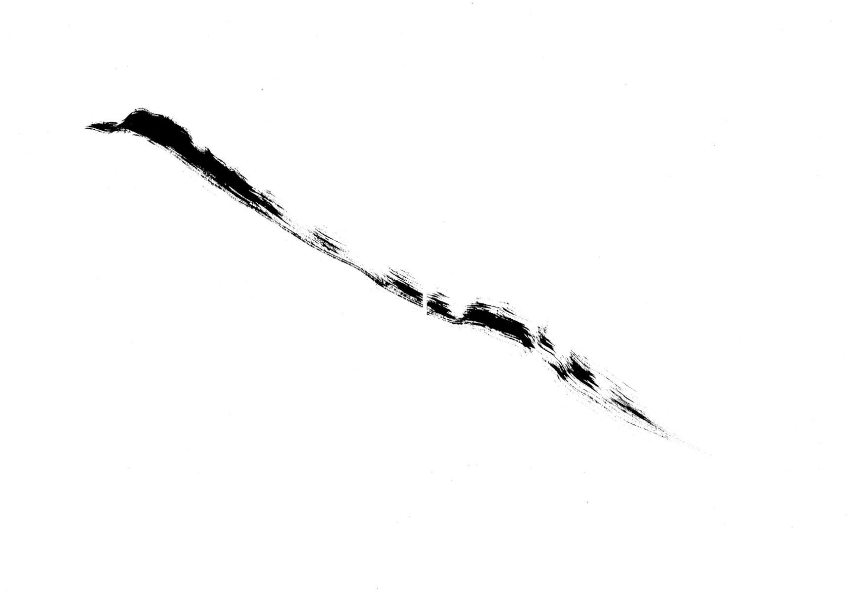 Read Shamo Manga Online