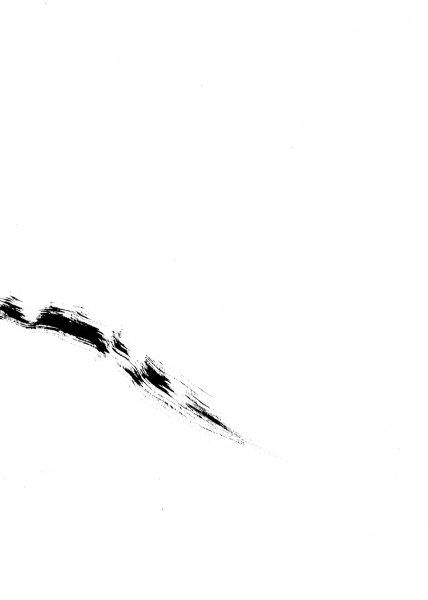 Read Shamo Manga Online