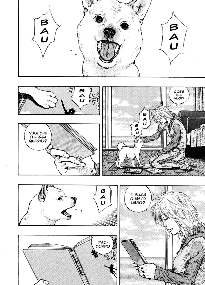 Read Shamo Manga Online