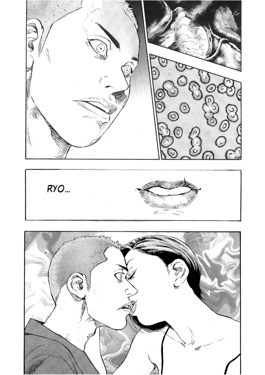 Read Shamo Manga Online