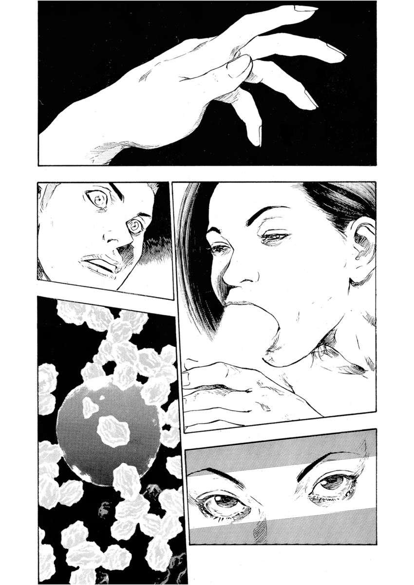 Read Shamo Manga Online