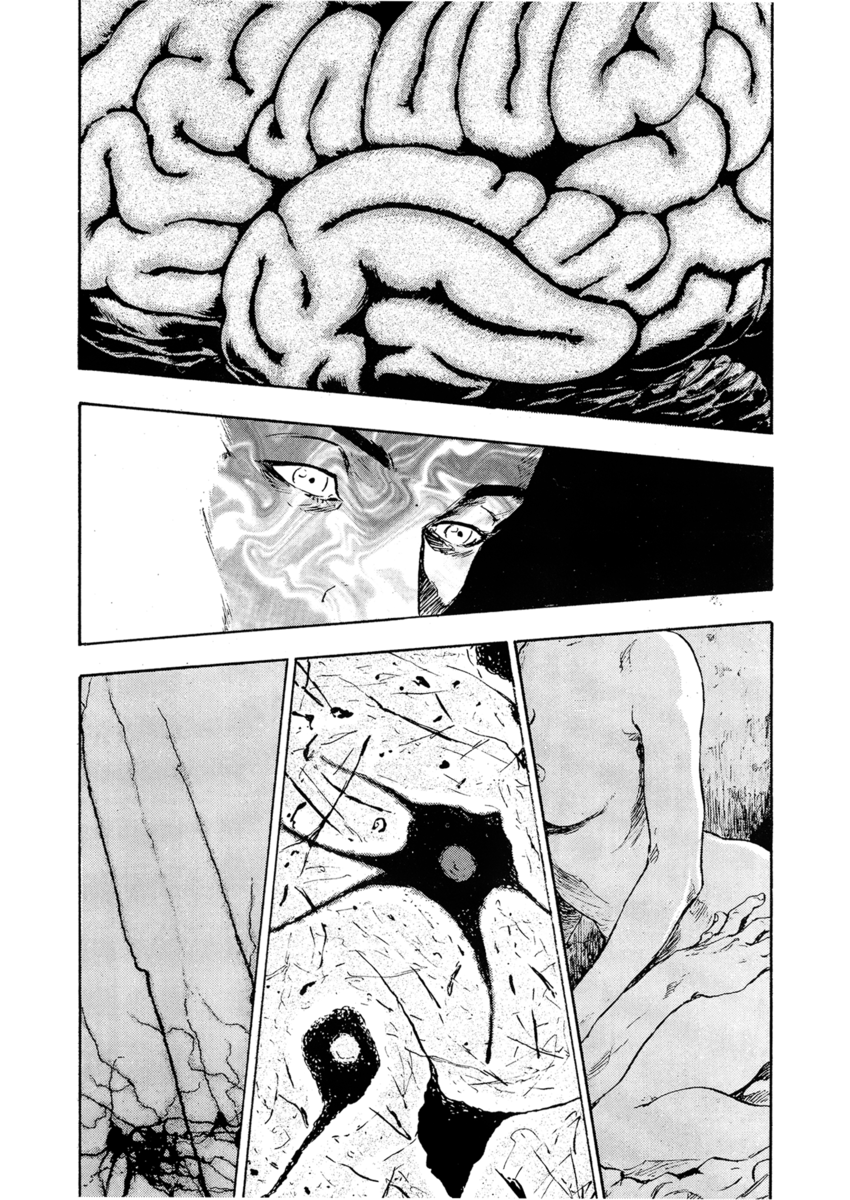 Read Shamo Manga Online