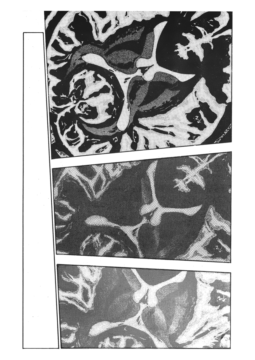 Read Shamo Manga Online