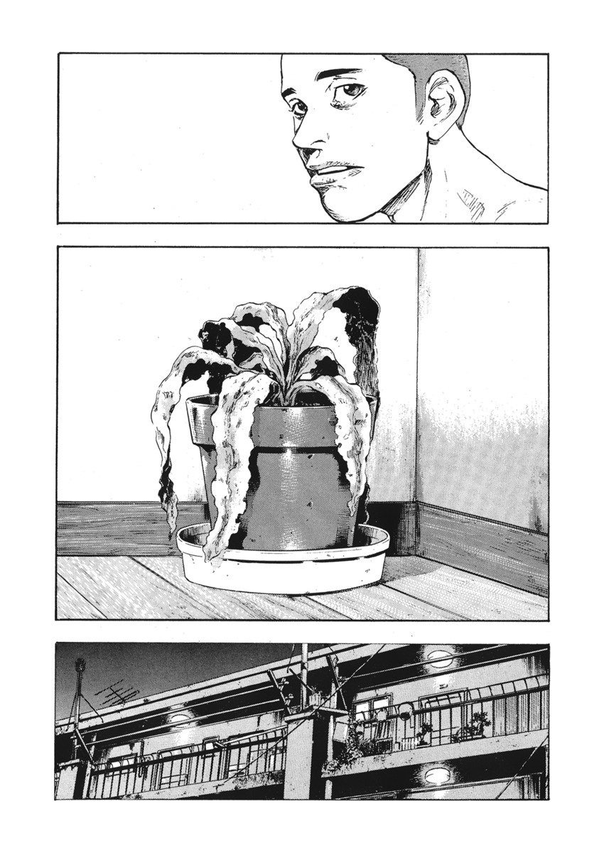 Read Shamo Manga Online