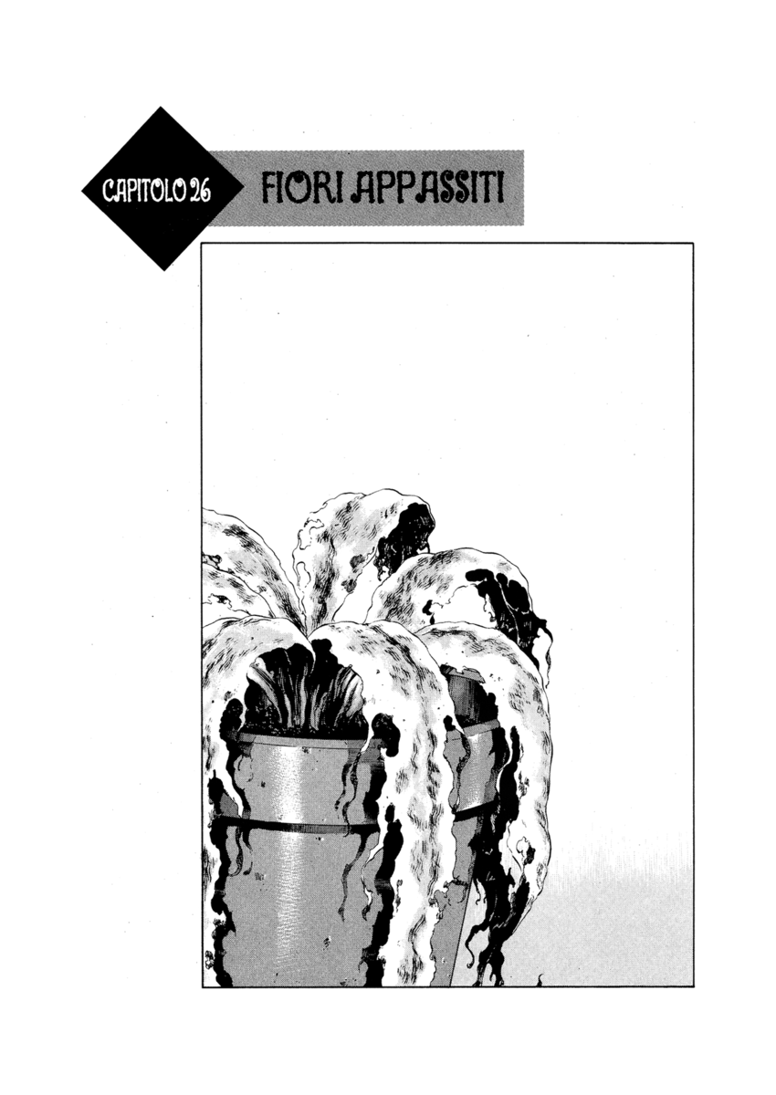 Read Shamo Manga Online