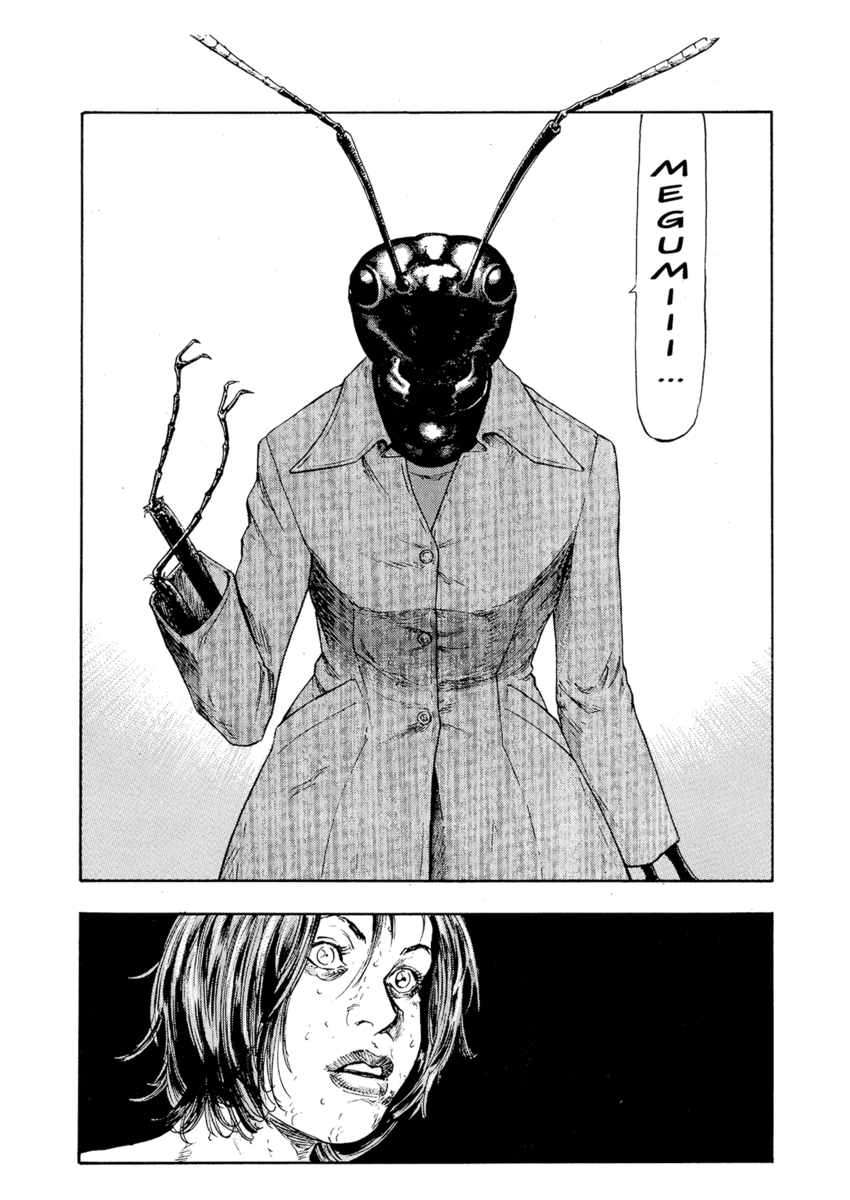 Read Shamo Manga Online