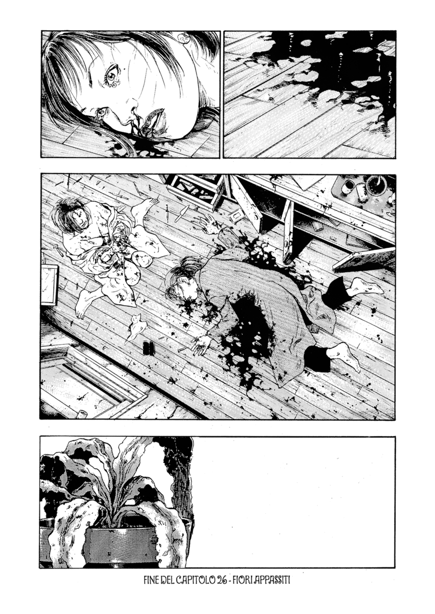 Read Shamo Manga Online