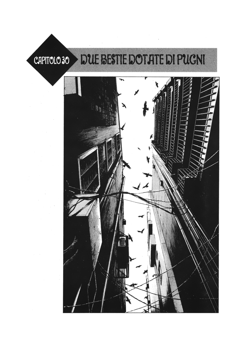 Read Shamo Manga Online