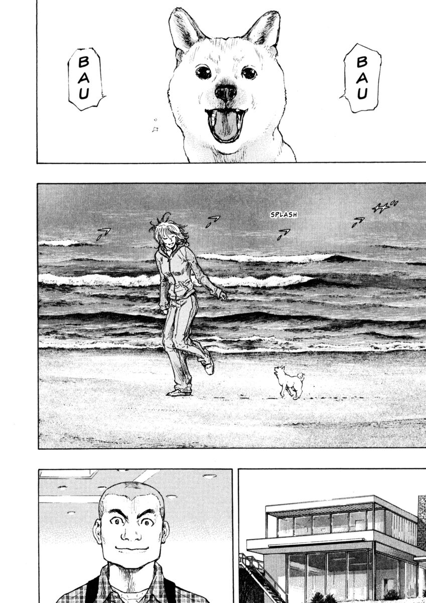 Read Shamo Manga Online