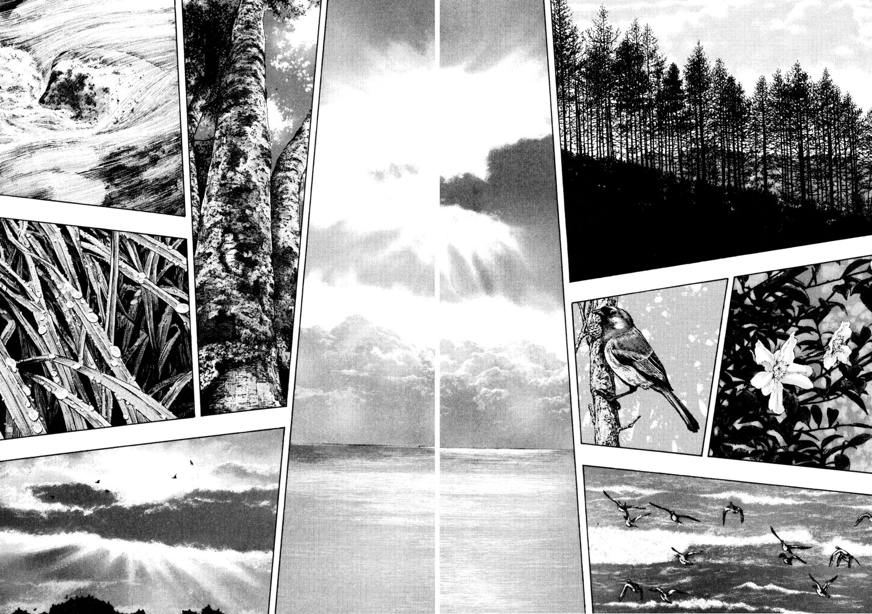 Read Shamo Manga Online