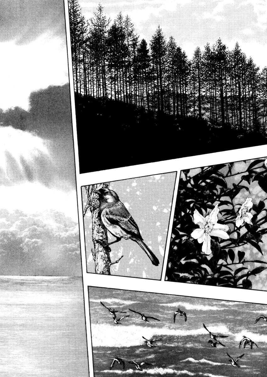 Read Shamo Manga Online