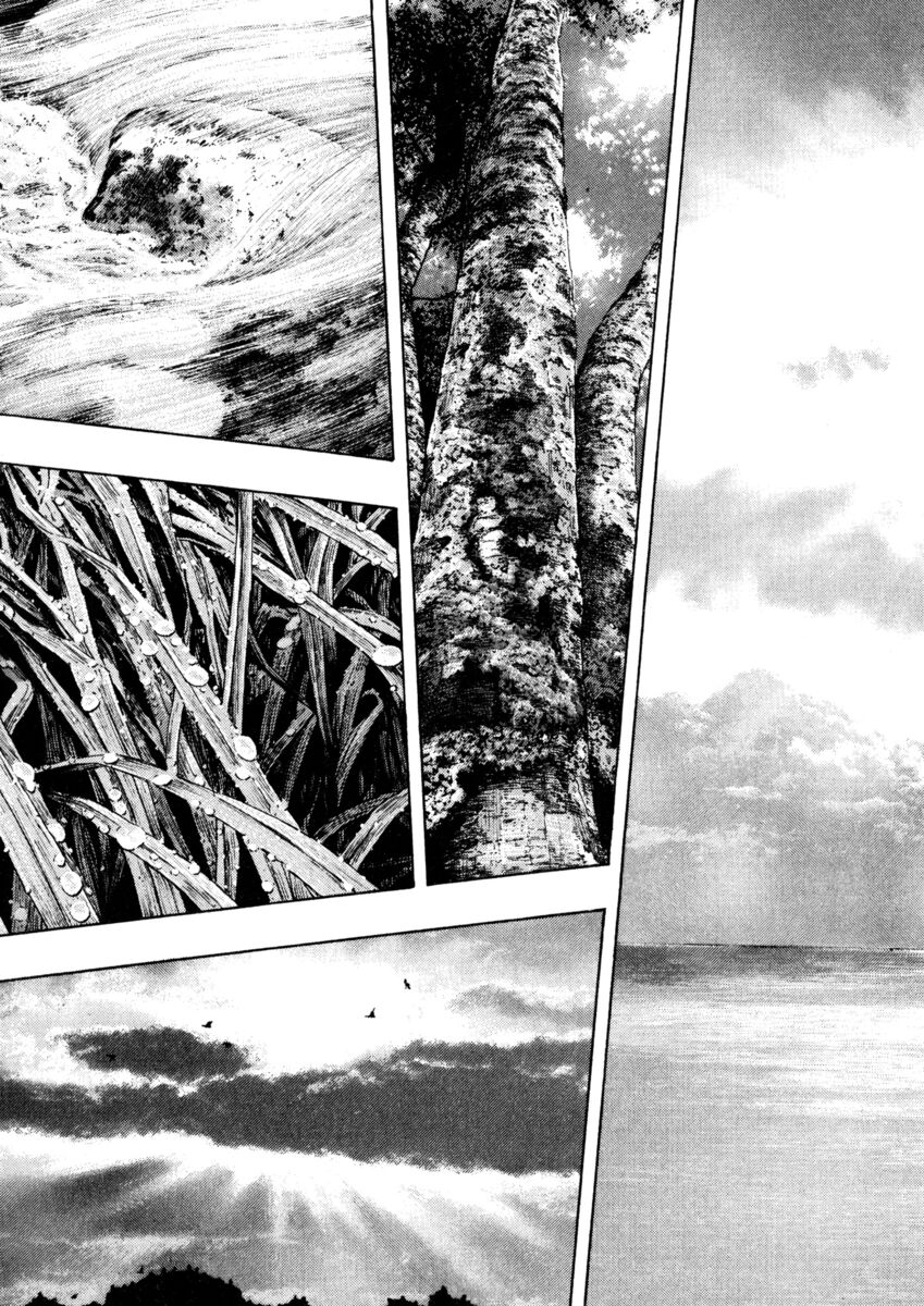 Read Shamo Manga Online