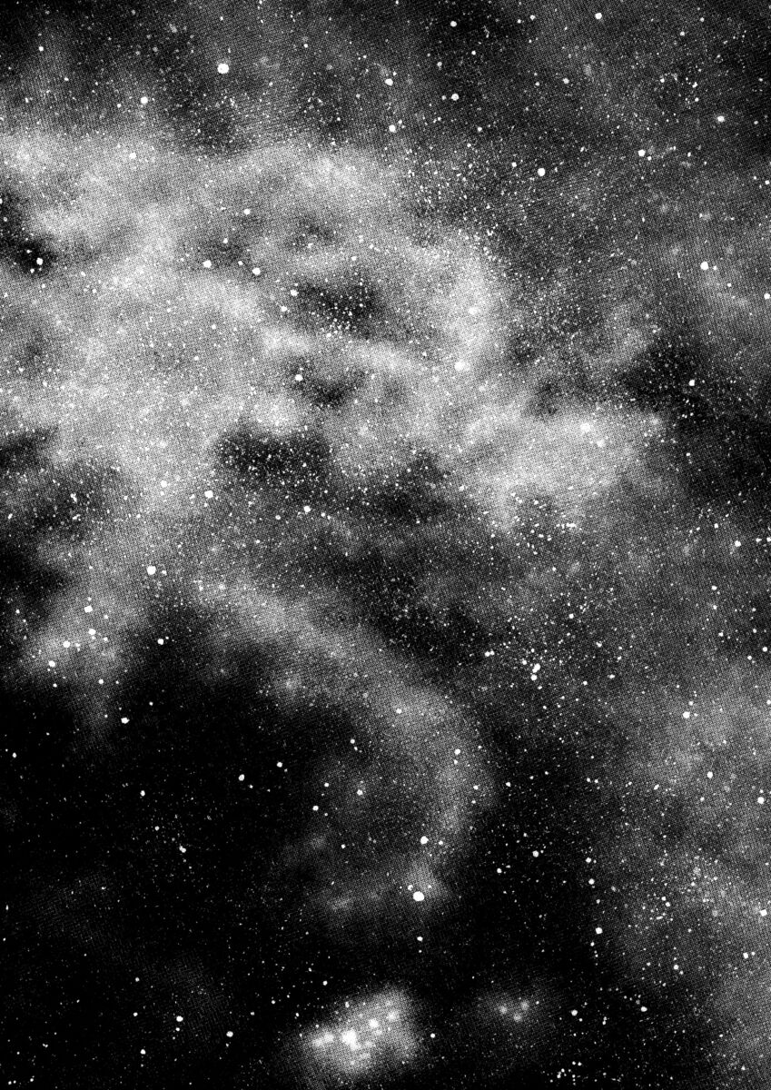 Read Shamo Manga Online