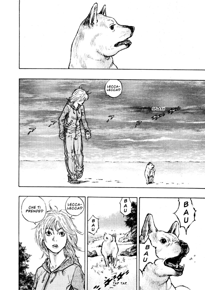 Read Shamo Manga Online