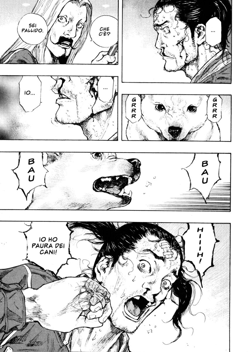 Read Shamo Manga Online