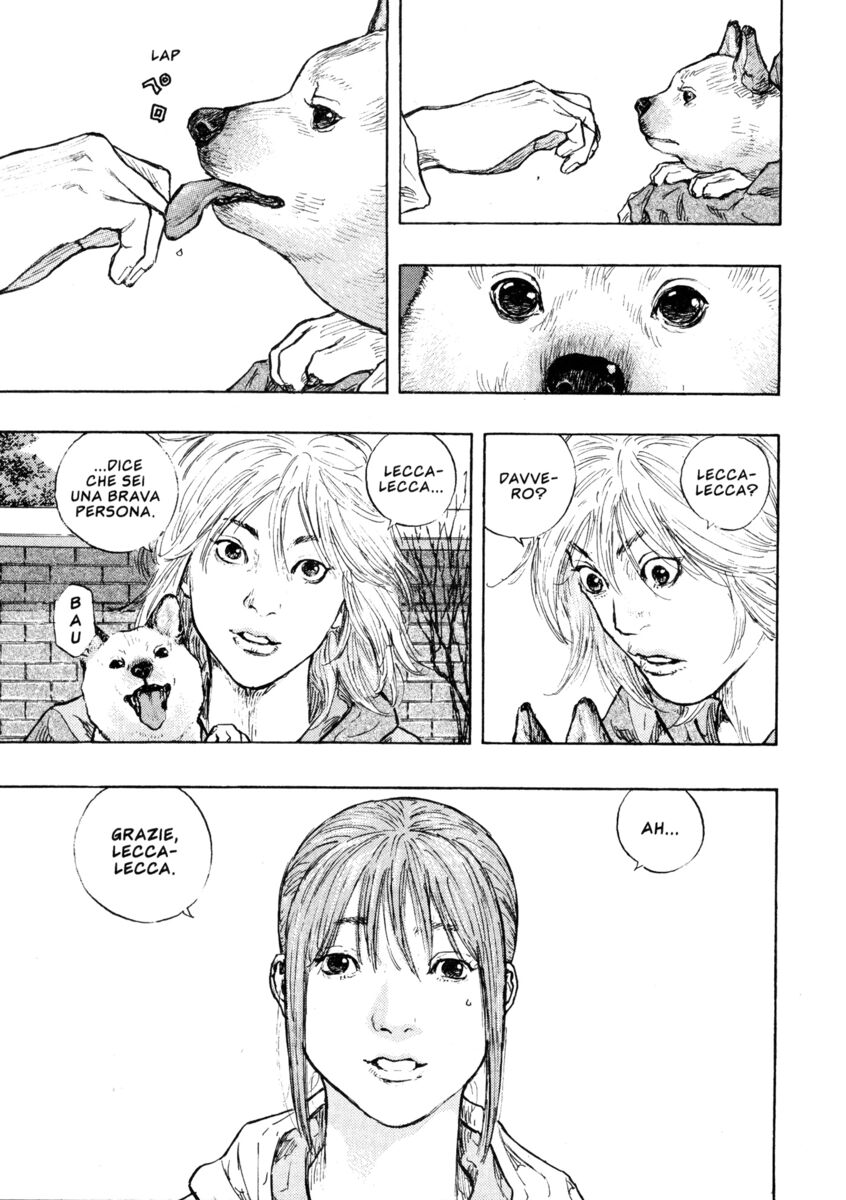 Read Shamo Manga Online