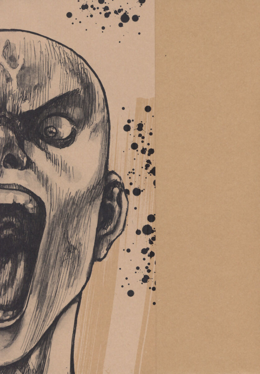 Read Shamo Manga Online