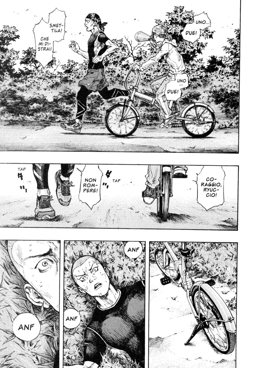 Read Shamo Manga Online