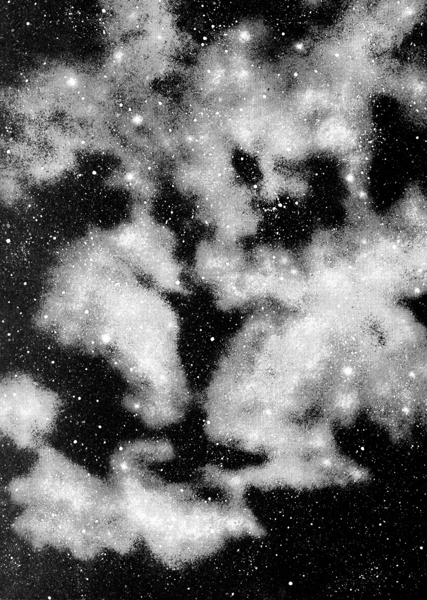 Read Shamo Manga Online