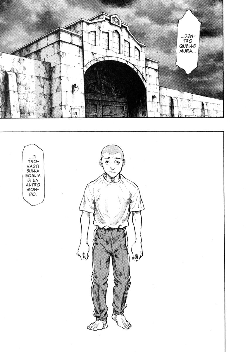 Read Shamo Manga Online