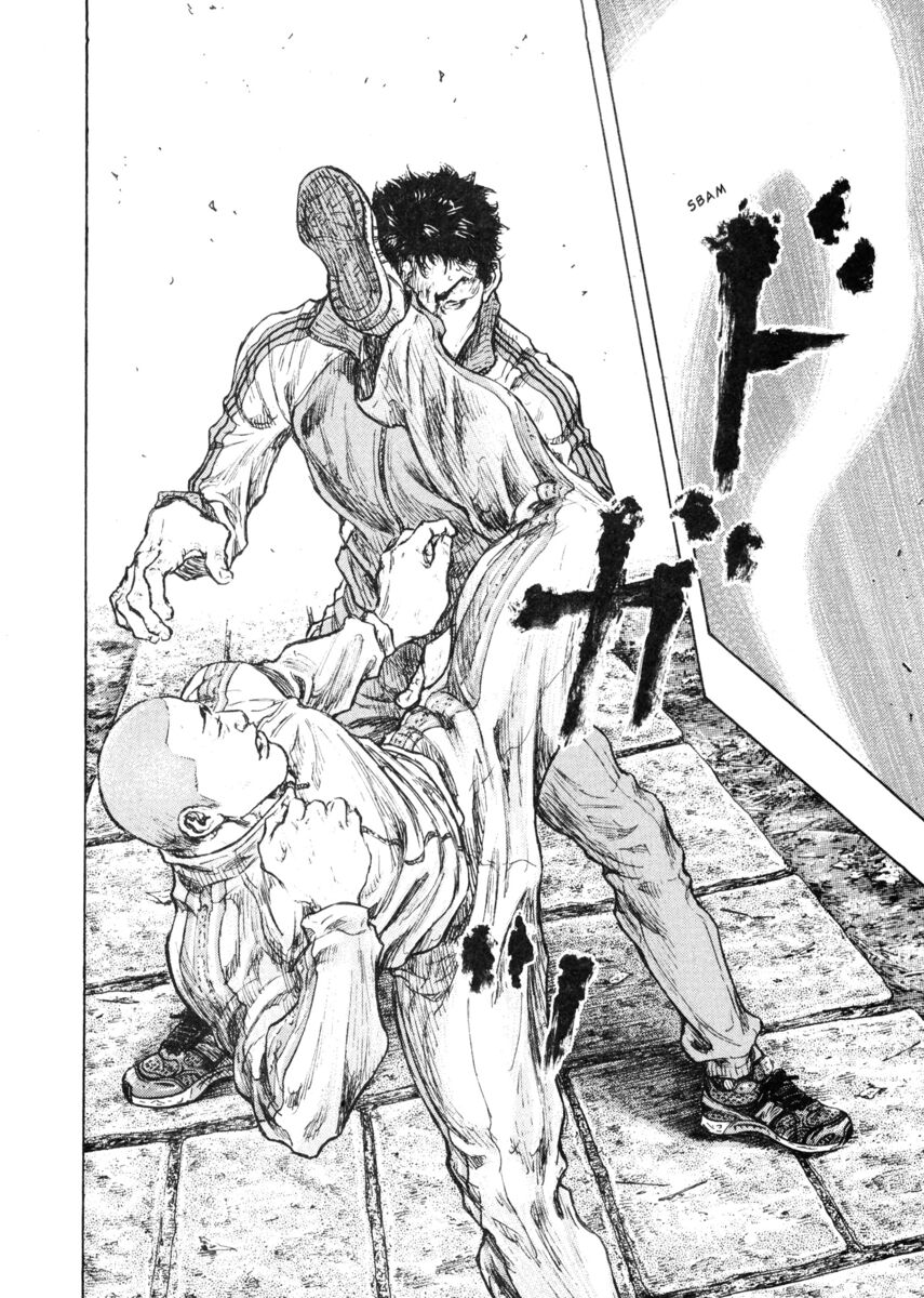 Read Shamo Manga Online