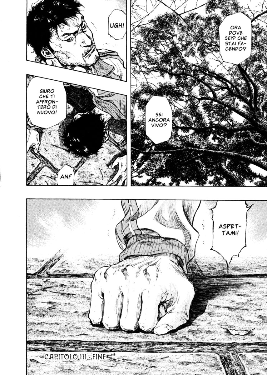 Read Shamo Manga Online