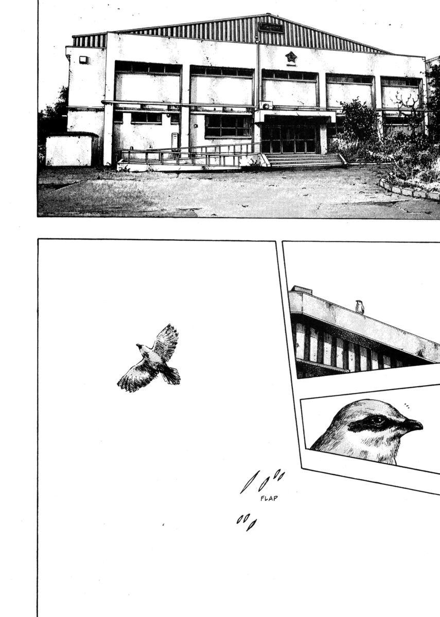 Read Shamo Manga Online