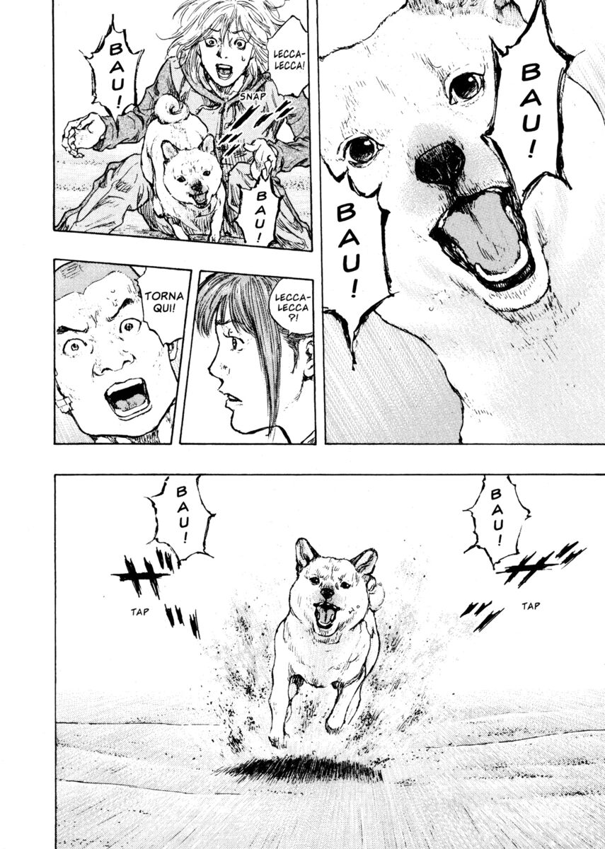 Read Shamo Manga Online