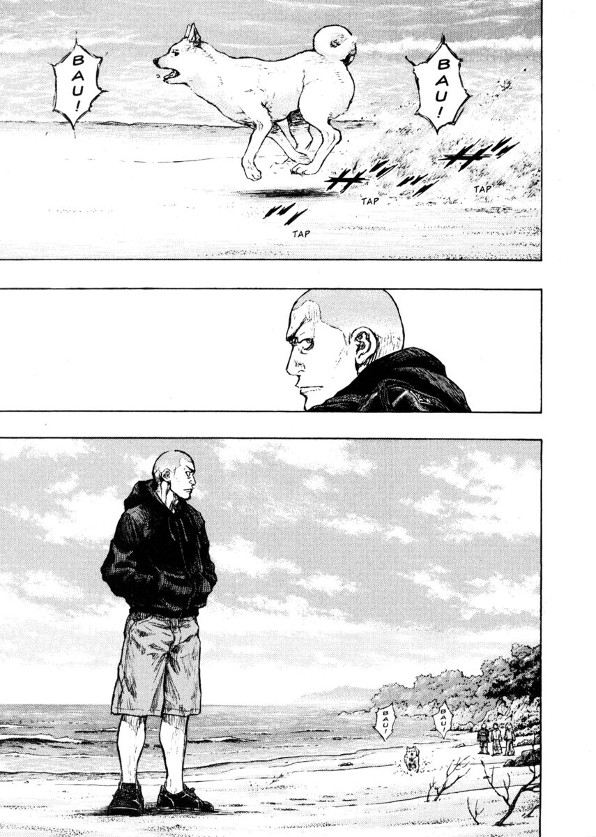 Read Shamo Manga Online