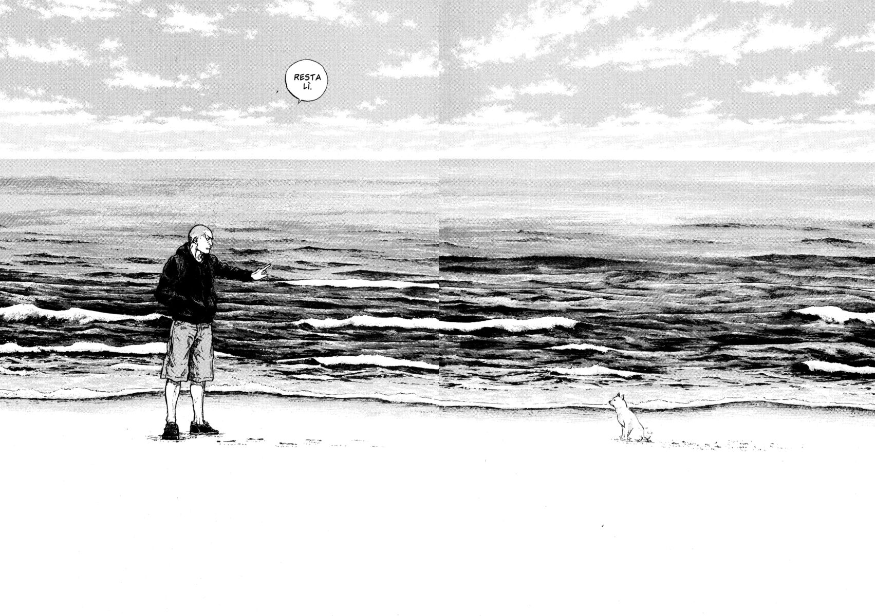 Read Shamo Manga Online