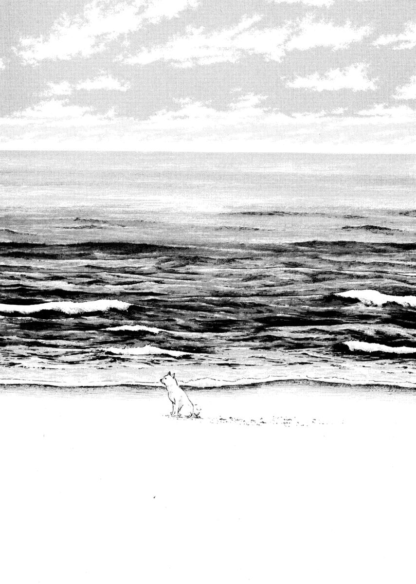 Read Shamo Manga Online