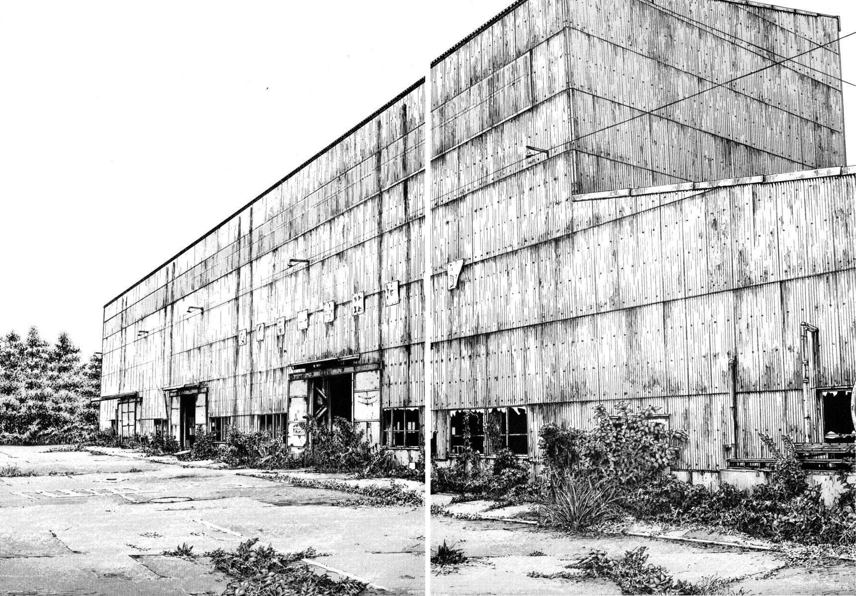 Read Shamo Manga Online