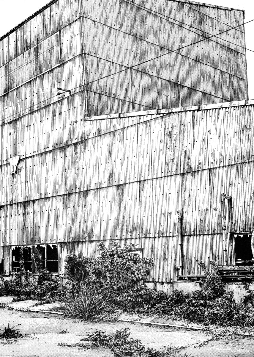 Read Shamo Manga Online