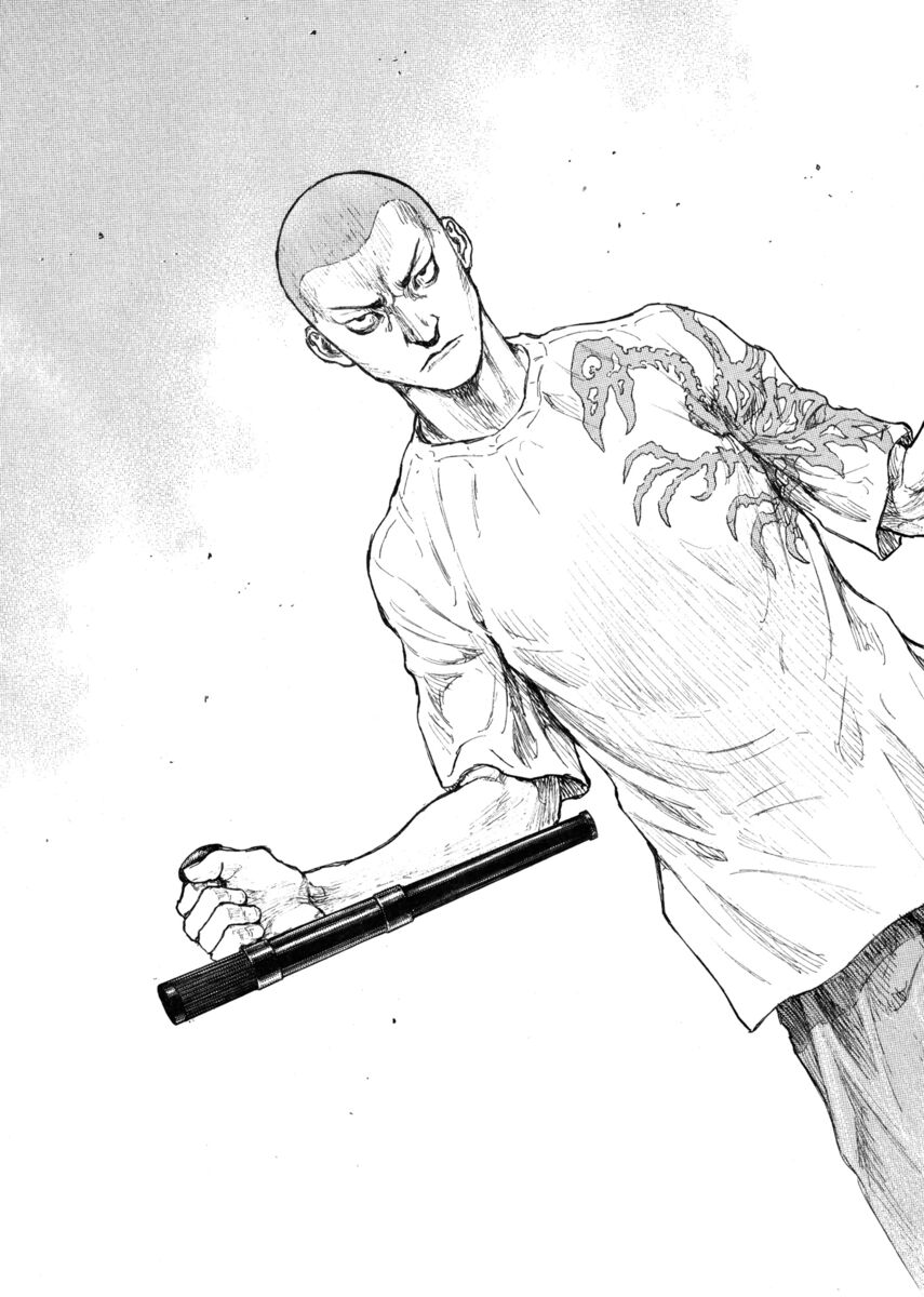 Read Shamo Manga Online