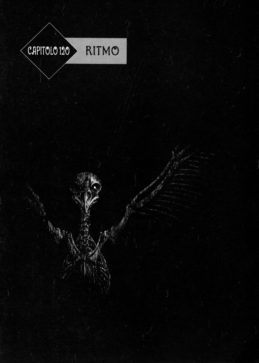 Read Shamo Manga Online