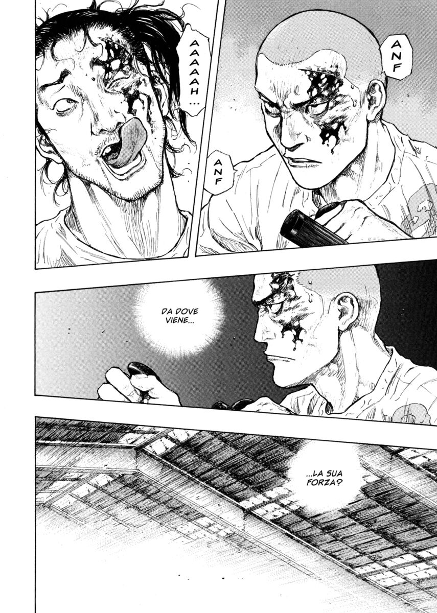 Read Shamo Manga Online