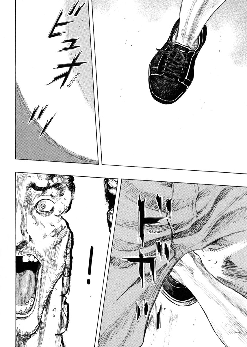 Read Shamo Manga Online