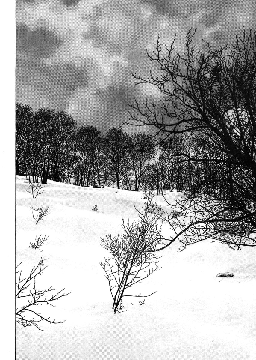 Read Shamo Manga Online